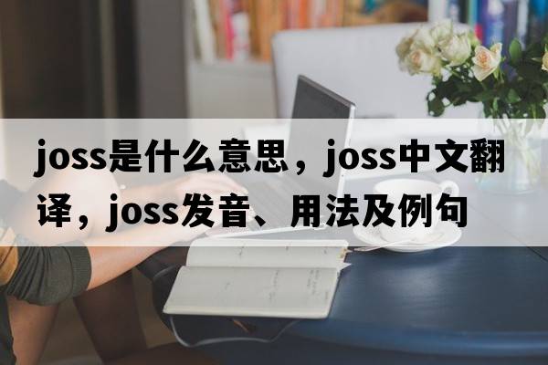 joss是什么意思，joss中文翻譯，joss發(fā)音、用法及例句