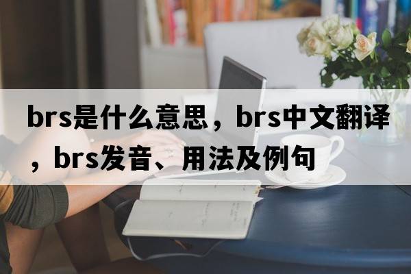BRS是什么意思，BRS中文翻譯，BRS發(fā)音、用法及例句
