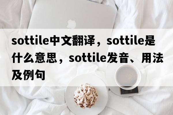 sottile中文翻譯，sottile是什么意思，sottile發(fā)音、用法及例句