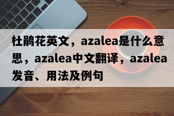 杜鵑花英文，azalea是什么意思，azalea中文翻譯，azalea發(fā)音、用法及例句