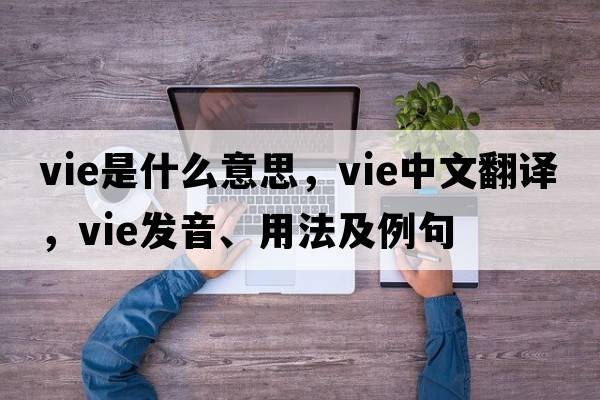 vie是什么意思，vie中文翻譯，vie發(fā)音、用法及例句