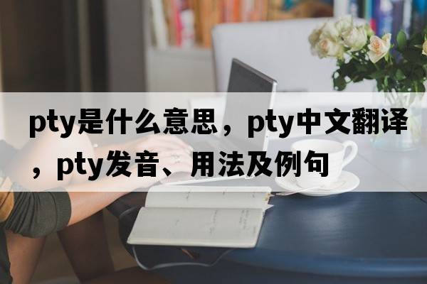 pty是什么意思，pty中文翻譯，pty發(fā)音、用法及例句