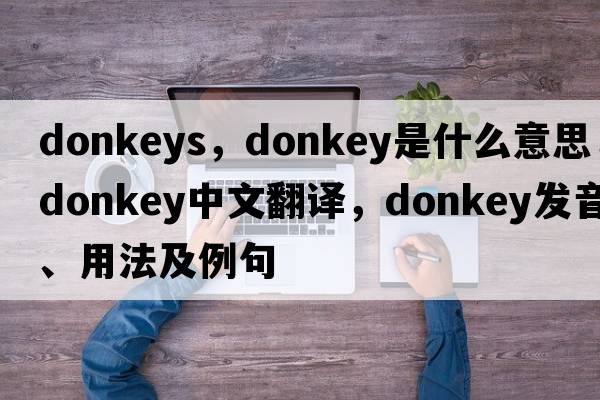 donkeys，donkey是什么意思，donkey中文翻譯，donkey發(fā)音、用法及例句