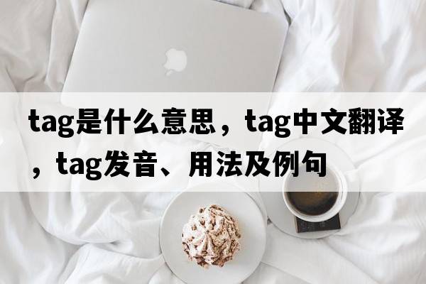 tag是什么意思，tag中文翻譯，tag發(fā)音、用法及例句