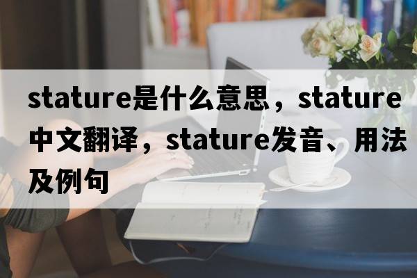 stature是什么意思，stature中文翻譯，stature發(fā)音、用法及例句
