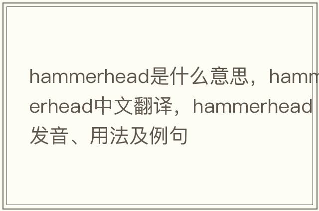 hammerhead是什么意思，hammerhead中文翻譯，hammerhead發(fā)音、用法及例句
