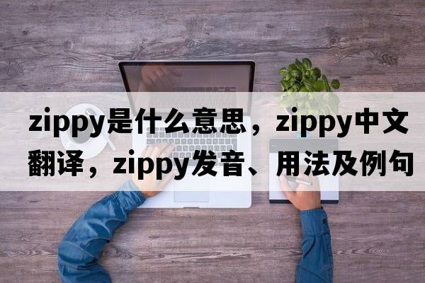 zippy是什么意思，zippy中文翻譯，zippy發(fā)音、用法及例句