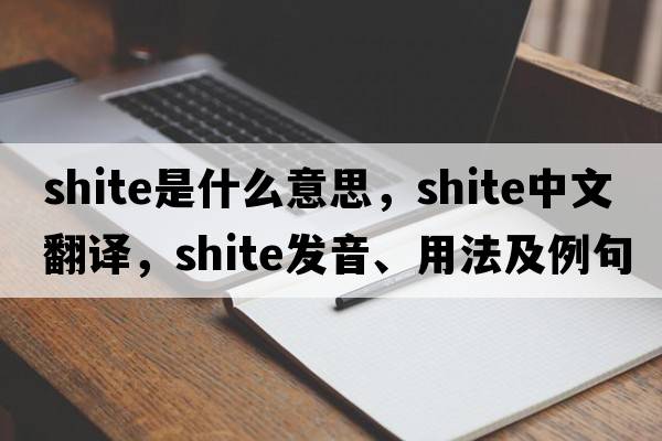 shite是什么意思，shite中文翻譯，shite發(fā)音、用法及例句