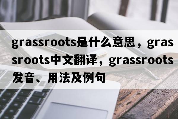 grassroots是什么意思，grassroots中文翻譯，grassroots發(fā)音、用法及例句