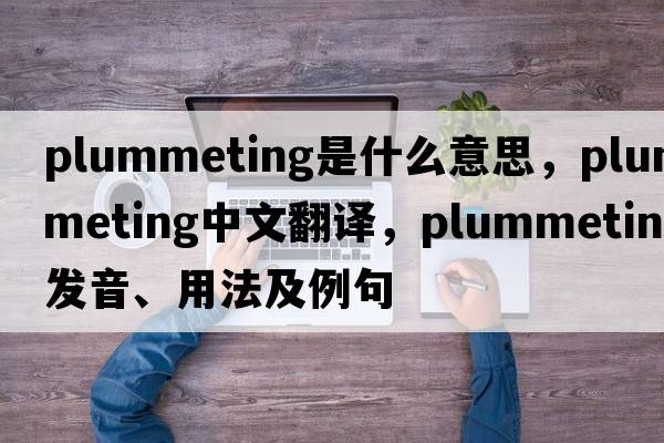 plummeting是什么意思，plummeting中文翻譯，plummeting發(fā)音、用法及例句