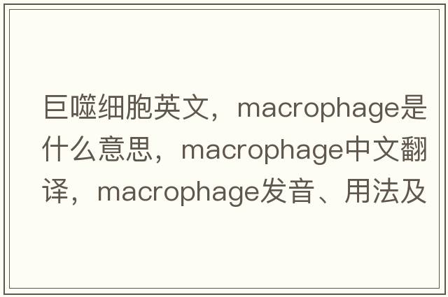 巨噬細胞英文，macrophage是什么意思，macrophage中文翻譯，macrophage發(fā)音、用法及例句