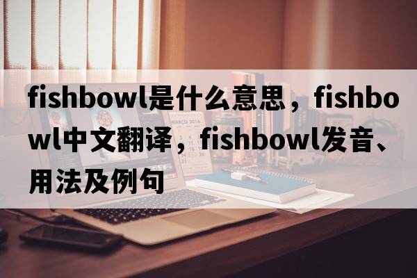 fishbowl是什么意思，fishbowl中文翻譯，fishbowl發(fā)音、用法及例句