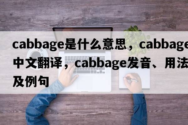 cabbage是什么意思，cabbage中文翻譯，cabbage發(fā)音、用法及例句