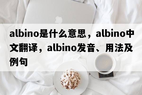 albino是什么意思，albino中文翻譯，albino發(fā)音、用法及例句