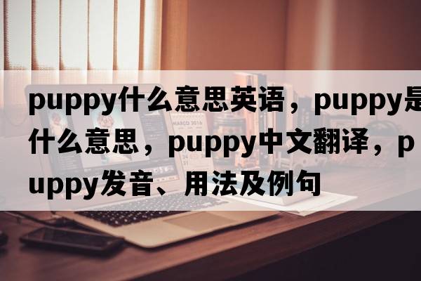puppy什么意思英語(yǔ)，puppy是什么意思，puppy中文翻譯，puppy發(fā)音、用法及例句