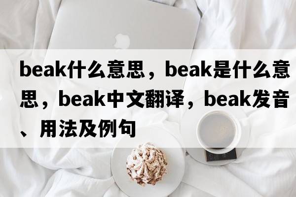 beak什么意思，beak是什么意思，beak中文翻譯，beak發(fā)音、用法及例句
