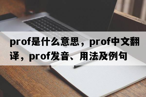 Prof是什么意思，Prof中文翻譯，Prof發(fā)音、用法及例句