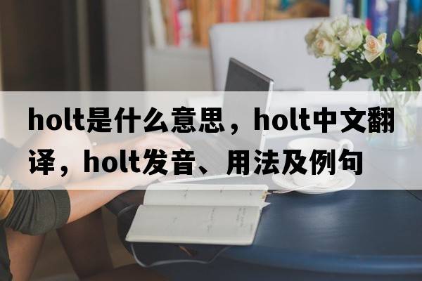holt是什么意思，holt中文翻譯，holt發(fā)音、用法及例句