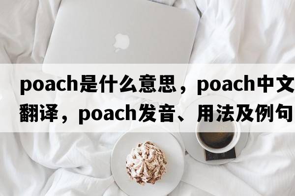 poach是什么意思，poach中文翻譯，poach發(fā)音、用法及例句