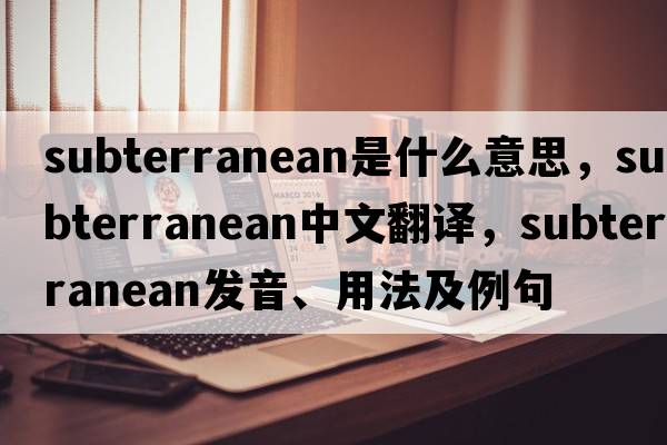 subterranean是什么意思，subterranean中文翻譯，subterranean發(fā)音、用法及例句