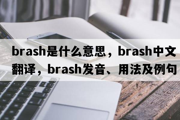 brash是什么意思，brash中文翻譯，brash發(fā)音、用法及例句