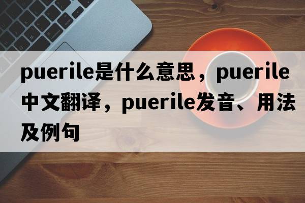 puerile是什么意思，puerile中文翻譯，puerile發(fā)音、用法及例句