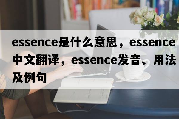 essence是什么意思，essence中文翻譯，essence發(fā)音、用法及例句