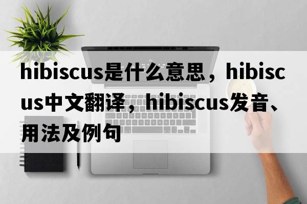 hibiscus是什么意思，hibiscus中文翻譯，hibiscus發(fā)音、用法及例句