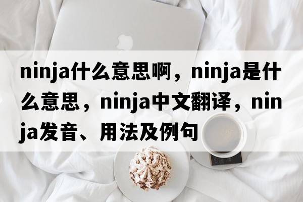 ninja什么意思啊，ninja是什么意思，ninja中文翻譯，ninja發(fā)音、用法及例句
