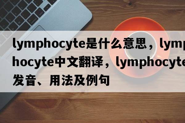 lymphocyte是什么意思，lymphocyte中文翻譯，lymphocyte發(fā)音、用法及例句