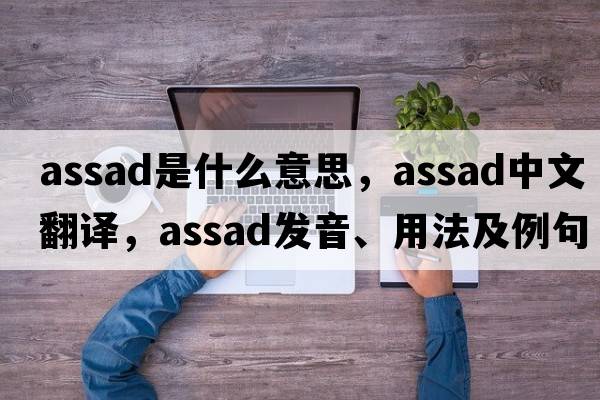 Assad是什么意思，Assad中文翻譯，Assad發(fā)音、用法及例句