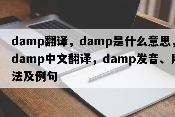 damp翻譯，damp是什么意思，damp中文翻譯，damp發(fā)音、用法及例句