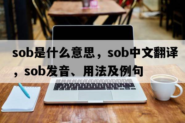 sob是什么意思，sob中文翻譯，sob發(fā)音、用法及例句