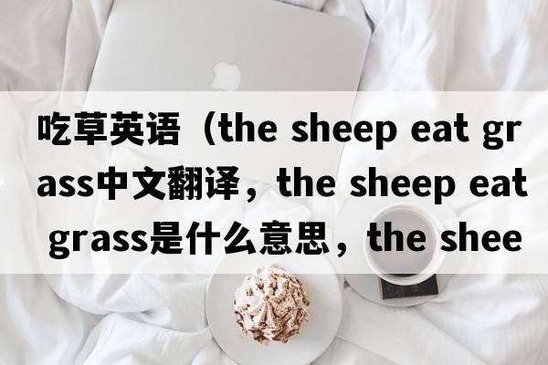 吃草英語(yǔ)（the sheep eat grass中文翻譯，the sheep eat grass是什么意思，the sheep eat grass發(fā)音、用法及例句）