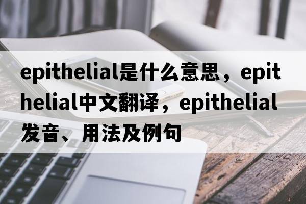epithelial是什么意思，epithelial中文翻譯，epithelial發(fā)音、用法及例句