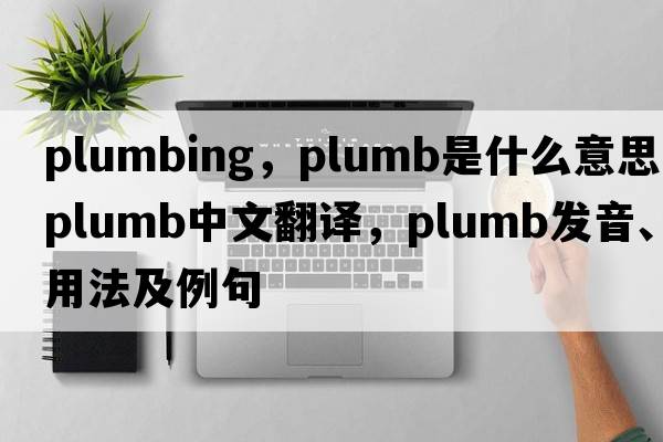 plumbing，plumb是什么意思，plumb中文翻譯，plumb發(fā)音、用法及例句