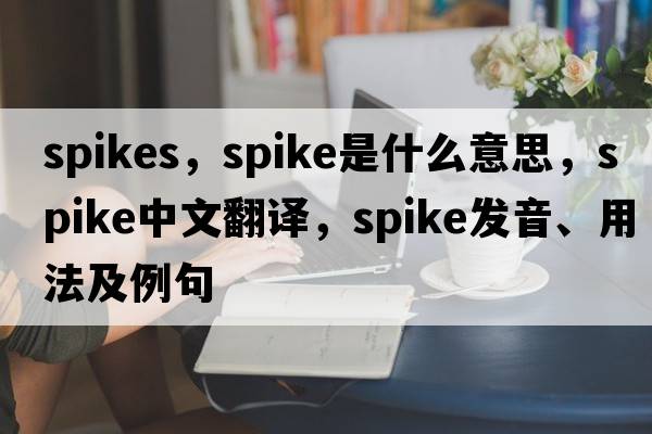 spikes，spike是什么意思，spike中文翻譯，spike發(fā)音、用法及例句