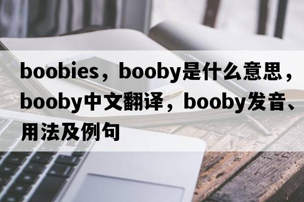 boobies，booby是什么意思，booby中文翻譯，booby發(fā)音、用法及例句