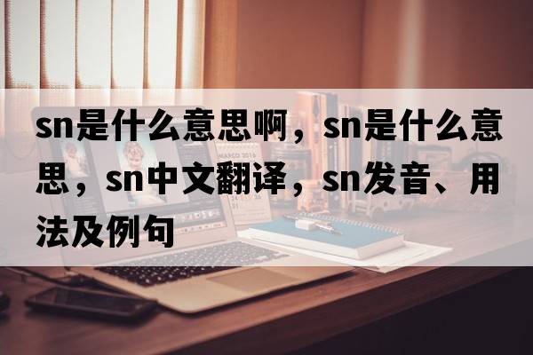 sn是什么意思啊，SN是什么意思，SN中文翻譯，SN發(fā)音、用法及例句