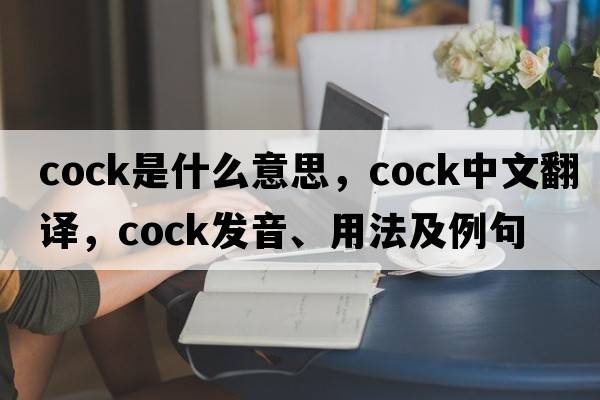 cock是什么意思，cock中文翻譯，cock發(fā)音、用法及例句