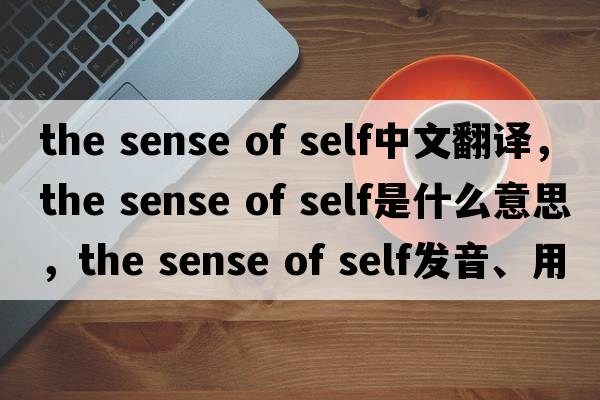 the sense of self中文翻譯，the sense of self是什么意思，the sense of self發(fā)音、用法及例句