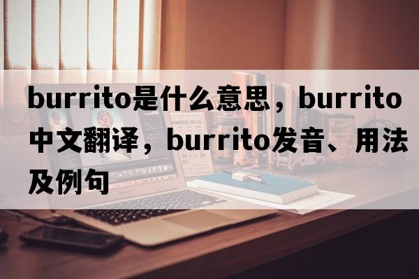 burrito是什么意思，burrito中文翻譯，burrito發(fā)音、用法及例句
