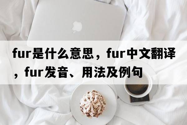 fur是什么意思，fur中文翻譯，fur發(fā)音、用法及例句