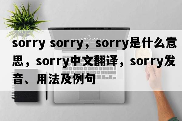 sorry sorry，sorry是什么意思，sorry中文翻譯，sorry發(fā)音、用法及例句