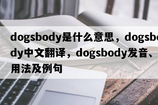 dogsbody是什么意思，dogsbody中文翻譯，dogsbody發(fā)音、用法及例句