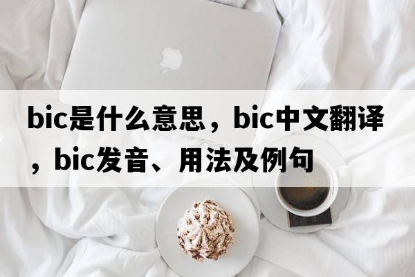 bic是什么意思，bic中文翻譯，bic發(fā)音、用法及例句