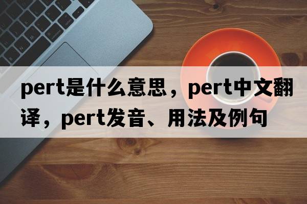 pert是什么意思，pert中文翻譯，pert發(fā)音、用法及例句