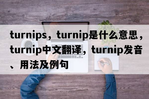 turnips，turnip是什么意思，turnip中文翻譯，turnip發(fā)音、用法及例句
