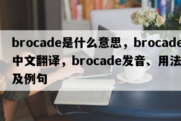 brocade是什么意思，brocade中文翻譯，brocade發(fā)音、用法及例句