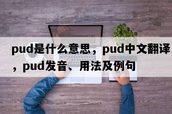pud是什么意思，pud中文翻譯，pud發(fā)音、用法及例句
